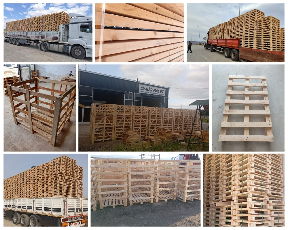Canterbury Wooden Pallets, Buy Wooden Pallets Wholesale